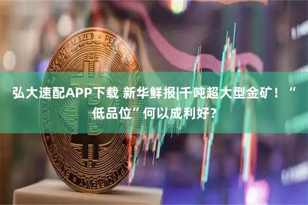 弘大速配APP下载 新华鲜报|千吨超大型金矿！“低品位”何以成利好？