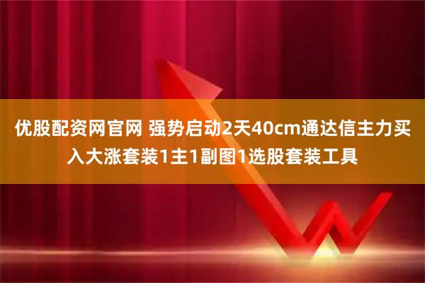 优股配资网官网 强势启动2天40cm通达信主力买入大涨套装1主1副图1选股套装工具